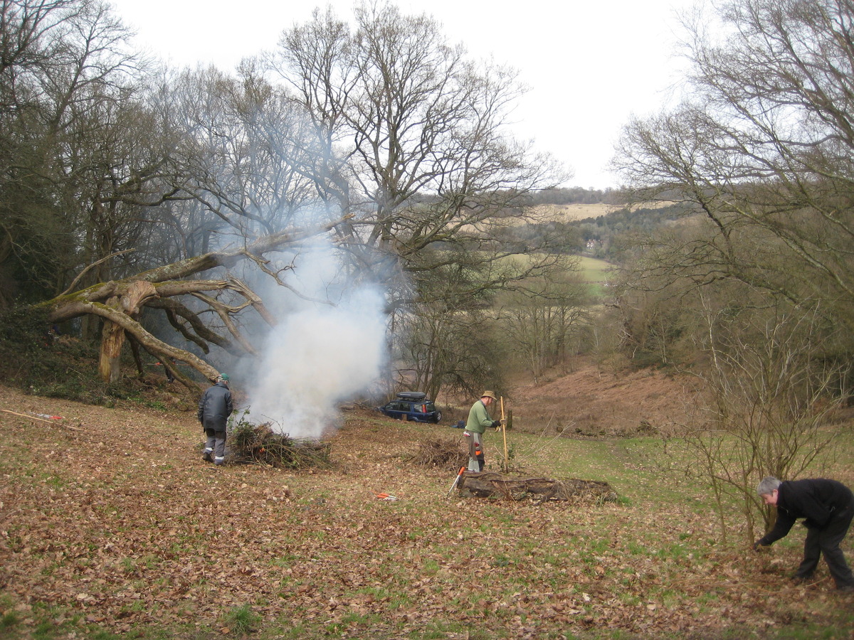 14 march scrub clearance at viewpoint